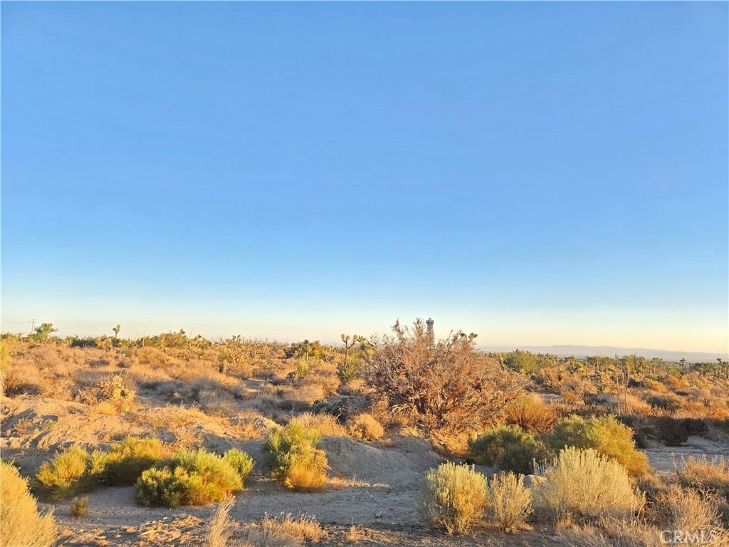 MLS #CV25185875 image #0