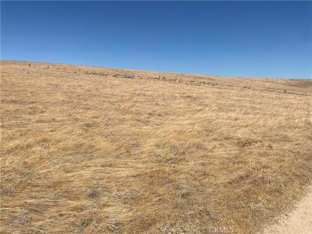 MLS #CV25190536 image #0