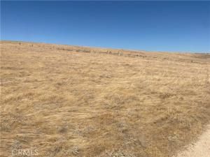 MLS #CV25190536 image #0