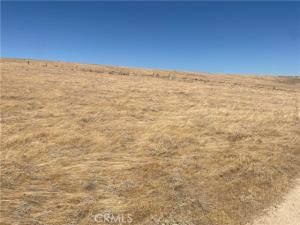 MLS #CV25190536 image #0