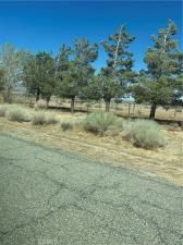 MLS #CV25190588 image #0