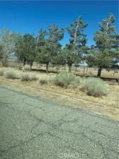 MLS #CV25190588 image #0