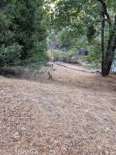 MLS #CV25196067 image #0