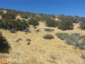 MLS #CV25210879 image #0