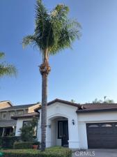 MLS #CV25240430 image #0