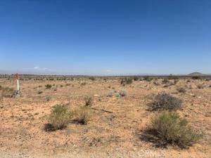 MLS #CV25244159 image #0