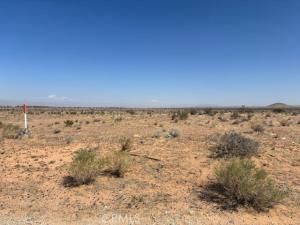 MLS #CV25244159 image #0