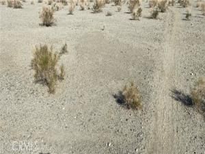 MLS #CV25248906 image #0