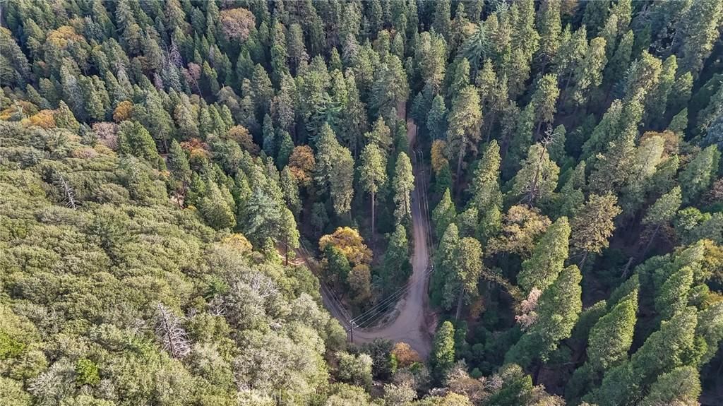 MLS #CV25260615 image #0