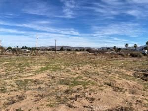 MLS #CV25267570 image #0