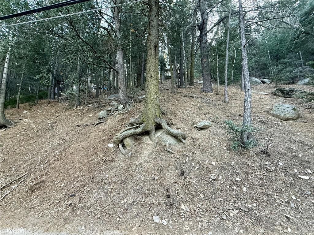 MLS #CV26022596 image #0