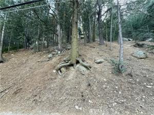 MLS #CV26022596 image #0