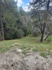MLS #CV26069187 image #0