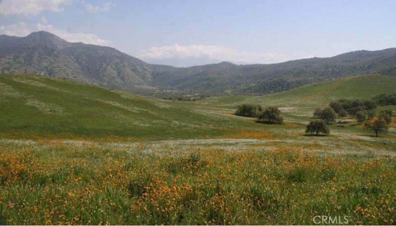 MLS #CV26070121 image #0