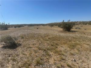MLS #CV26075244 image #0