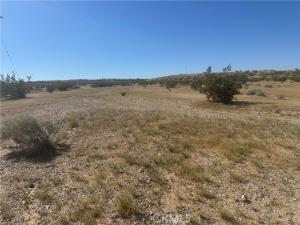 MLS #CV26075296 image #0