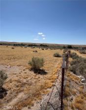 MLS #CV26080473 image #0
