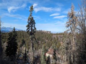 MLS #CV26090003 image #0