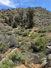 MLS #CV26096051 image #0