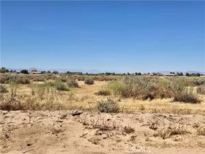 MLS #CV26102841 image #0