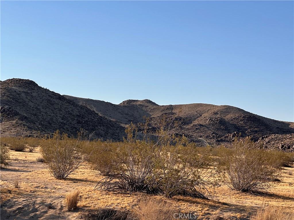MLS #CV26103801 image #0