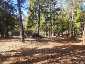 MLS #CV26109822 image #0