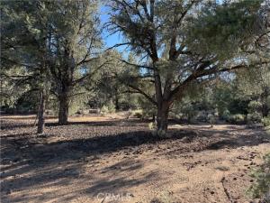 MLS #CV26141138 image #0