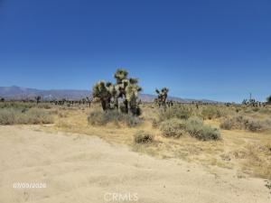 MLS #CV26150520 image #0