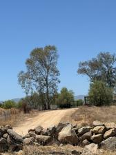 Lake Elsinore CA 92532 | MLS #CV26167353 41 MLS #CV26167353 image #0