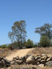 Lake Elsinore CA 92532 | MLS #CV26167353 45 MLS #CV26167353 image #0