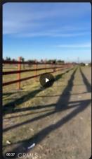 10120 Mescalero Phelan CA 92371 | MLS #CV26172823 45 MLS #CV26172823 image #0