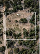 MLS #CV26186611 image #0