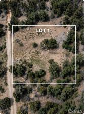 MLS #CV26186624 image #0