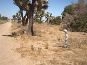 MLS #CV26195184 image #0