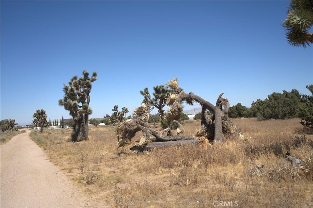 Fremontia Lot 3 Oak Hills CA 92344 | MLS #CV26218001 41 MLS #CV26218001 image #0
