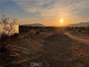 None Joshua Tree CA 92252 | MLS #CV26222299 79 MLS #CV26222299 image #0