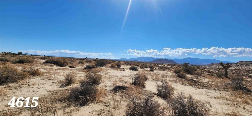 MLS #DW24154757 image #0