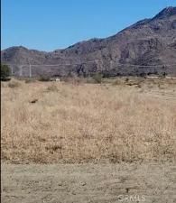 MLS #DW24205064 image #0