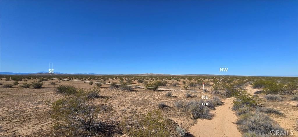 MLS #DW25075470 image #0