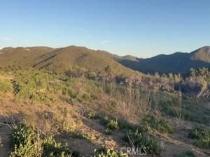 MLS #DW25130461 image #0