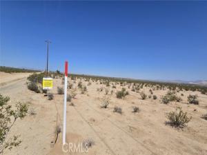 MLS #DW25164142 image #0