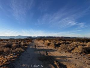 MLS #DW25177714 image #0