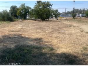 MLS #DW25182152 image #0