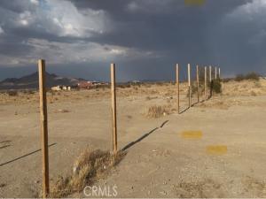 MLS #DW25192468 image #0