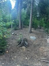 MLS #DW25193576 image #0