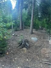 MLS #DW25193576 image #0