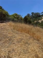 MLS #DW25218739 image #0