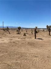 MLS #DW25221422 image #0