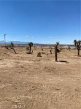 MLS #DW25221422 image #0