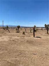 MLS #DW25221422 image #0